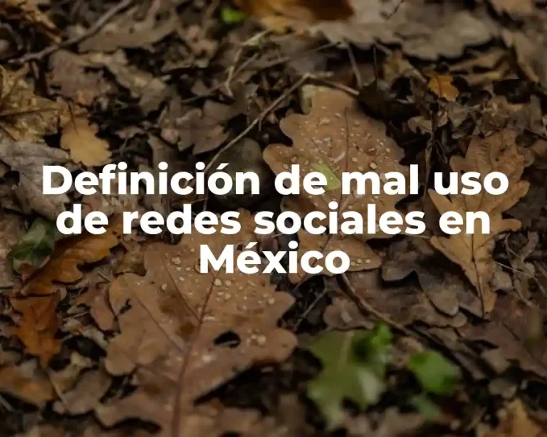 Definición de mal uso de redes sociales en México