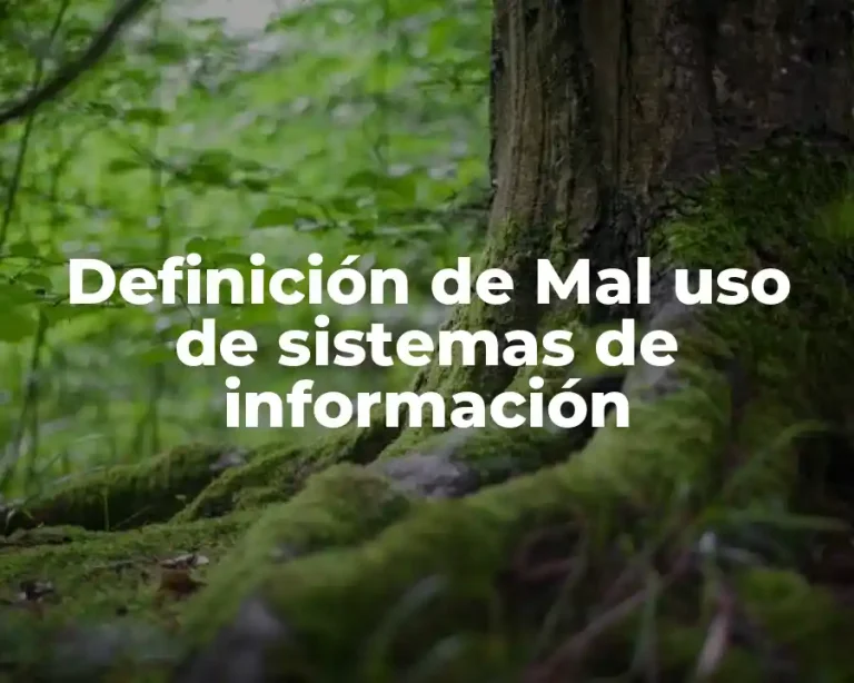 Definición de Mal uso de sistemas de información