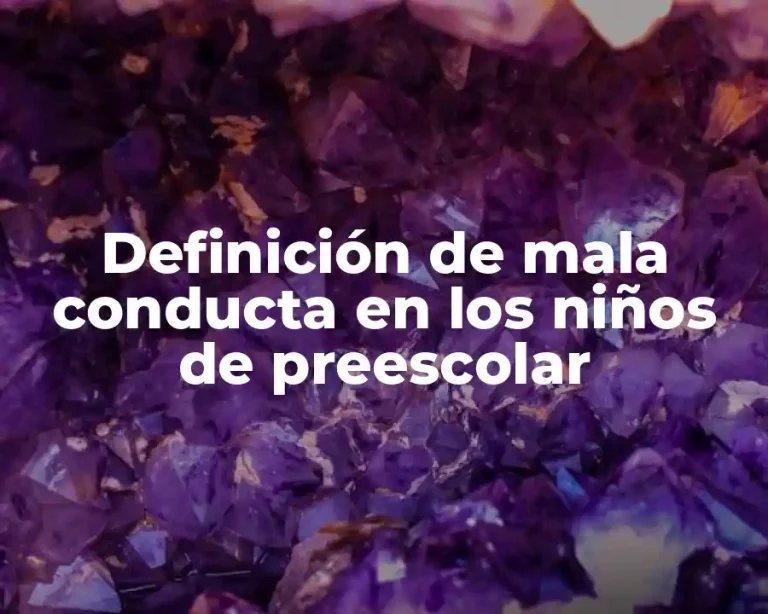 Definición de mala conducta en los niños de preescolar