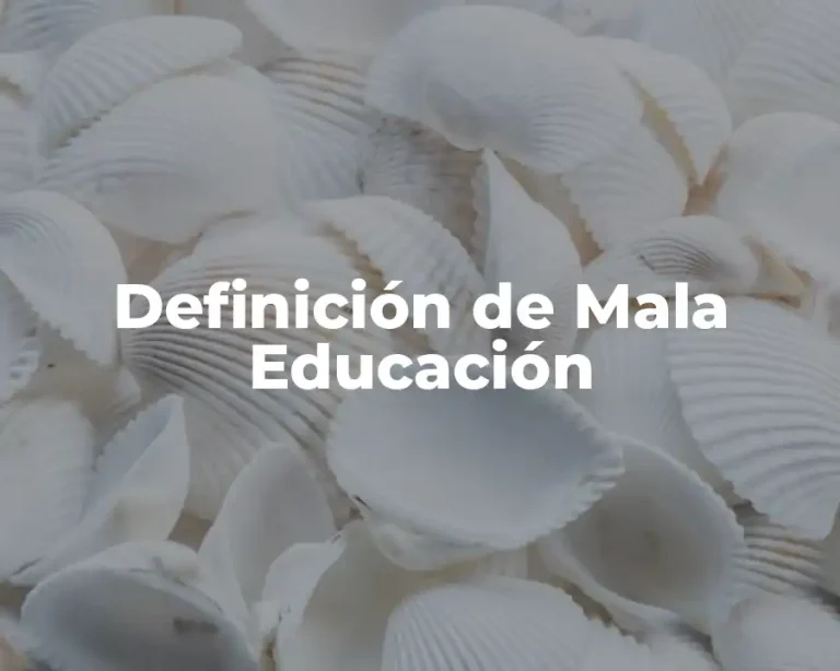 Definición de Mala Educación