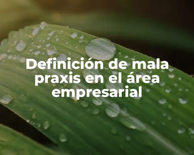 Definición de mala praxis en el área empresarial