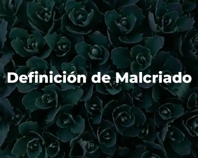 Definición de Malcriado
