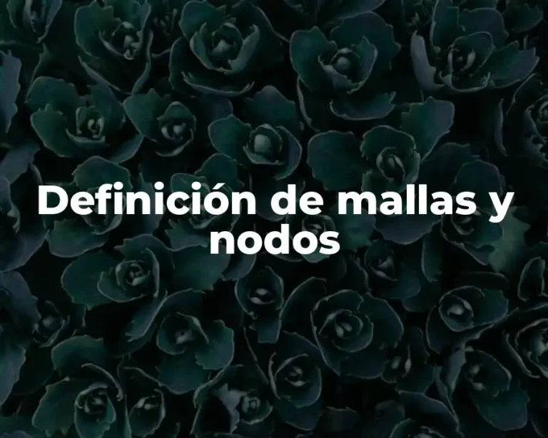 Definición de mallas y nodos