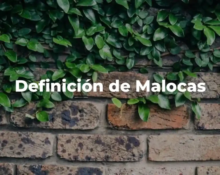 Definición de Malocas