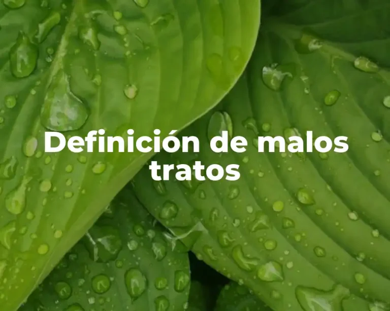 Definición de malos tratos