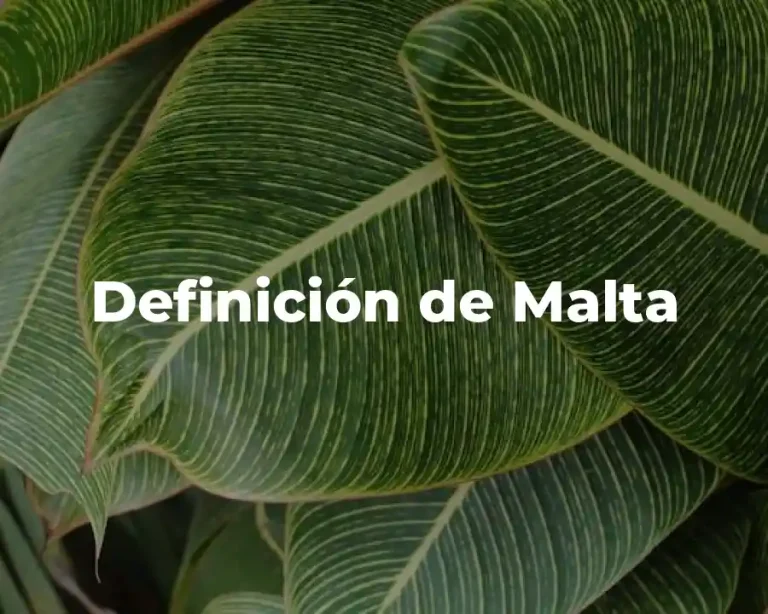 Definición de Malta