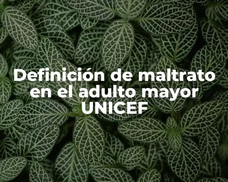 Definición de maltrato en el adulto mayor UNICEF