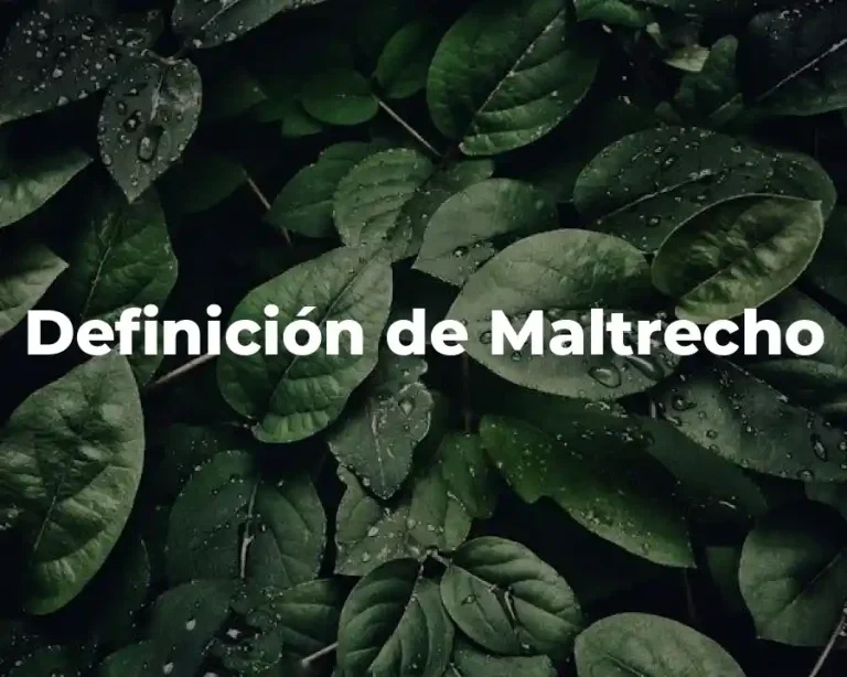 Definición de Maltrecho