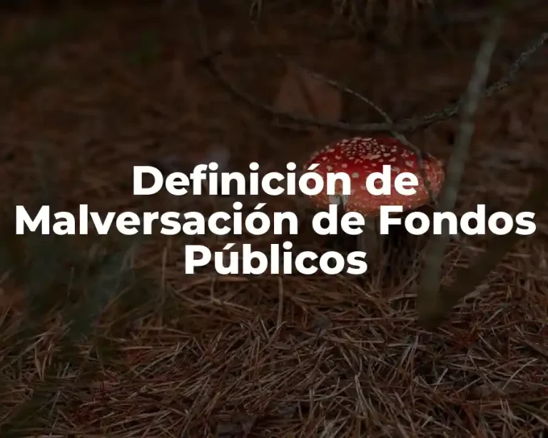 Definición de Malversación de Fondos Públicos