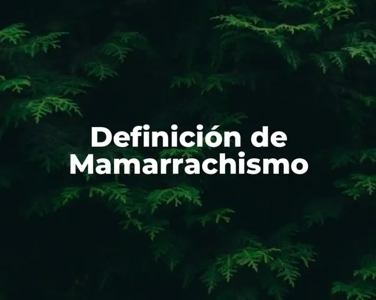 Definición de Mamarrachismo