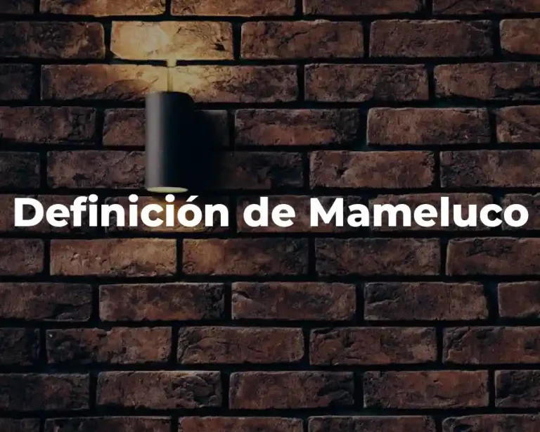 Definición de Mameluco