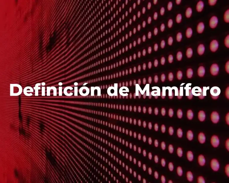 Definición de Mamífero