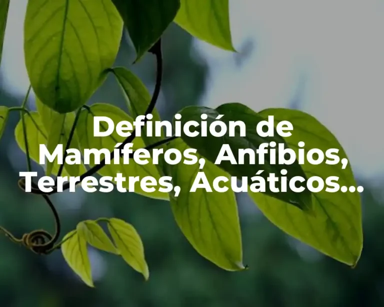 Definición de Mamíferos, Anfibios, Terrestres, Acuáticos, Reptiles