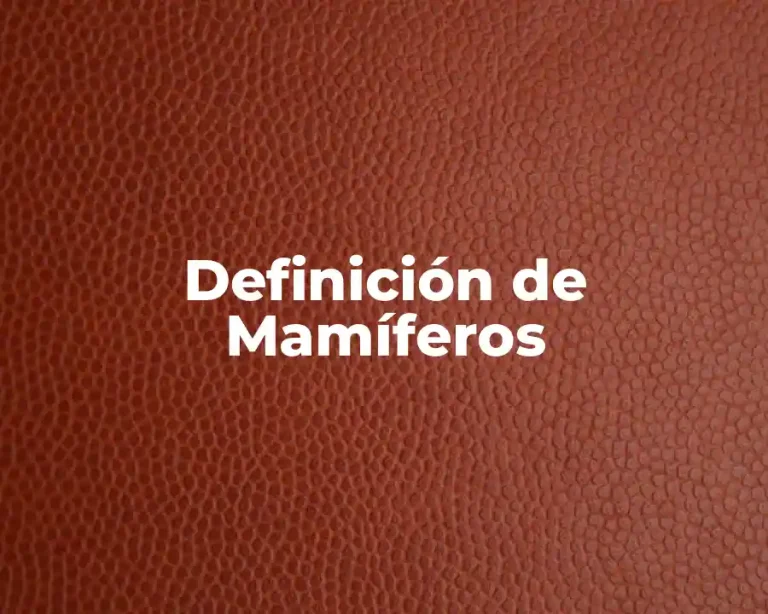 Definición de Mamíferos