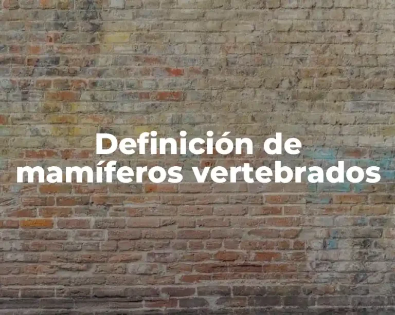 Definición de mamíferos vertebrados