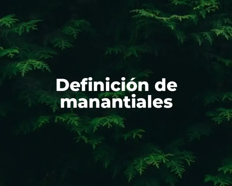 Definición de manantiales