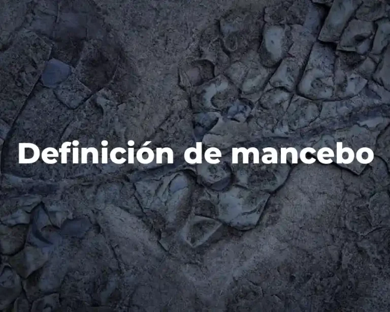 Definición de mancebo