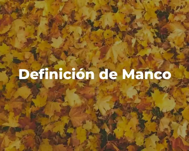 Definición de Manco