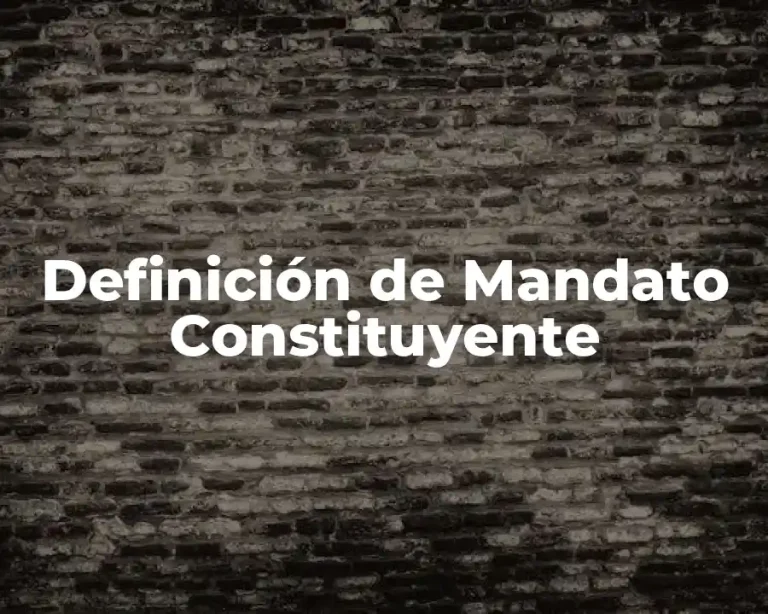 Definición de Mandato Constituyente