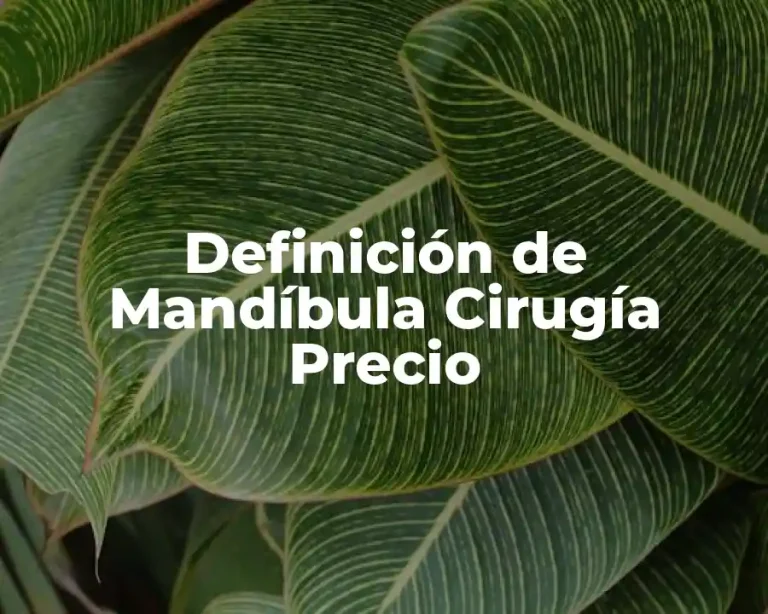 Definición de Mandíbula Cirugía Precio