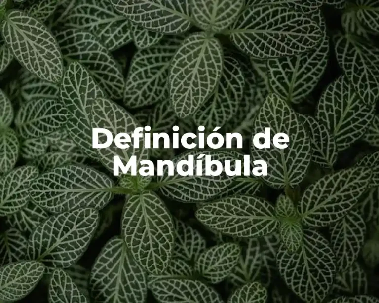 Definición de Mandíbula