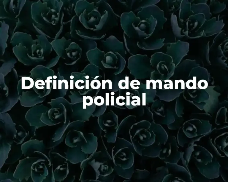 Definición de mando policial
