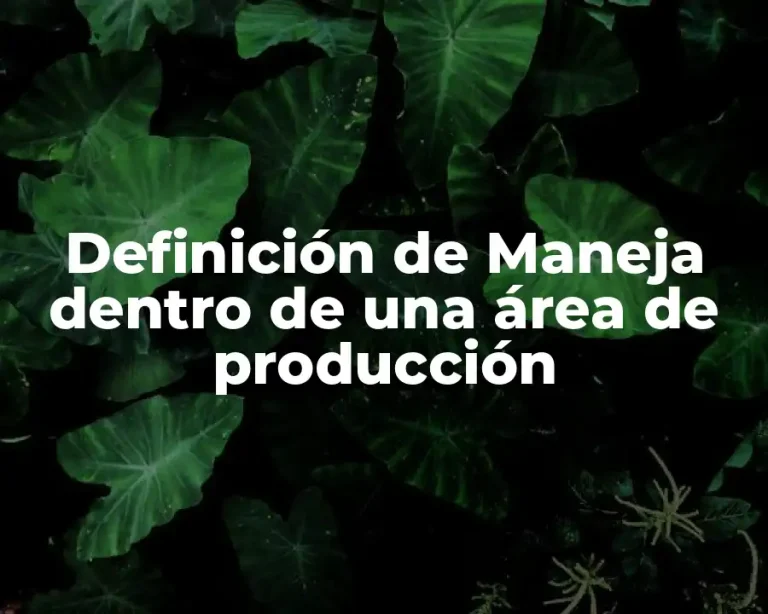 Definición de Maneja dentro de una área de producción