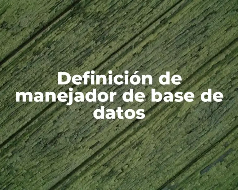 Definición de manejador de base de datos