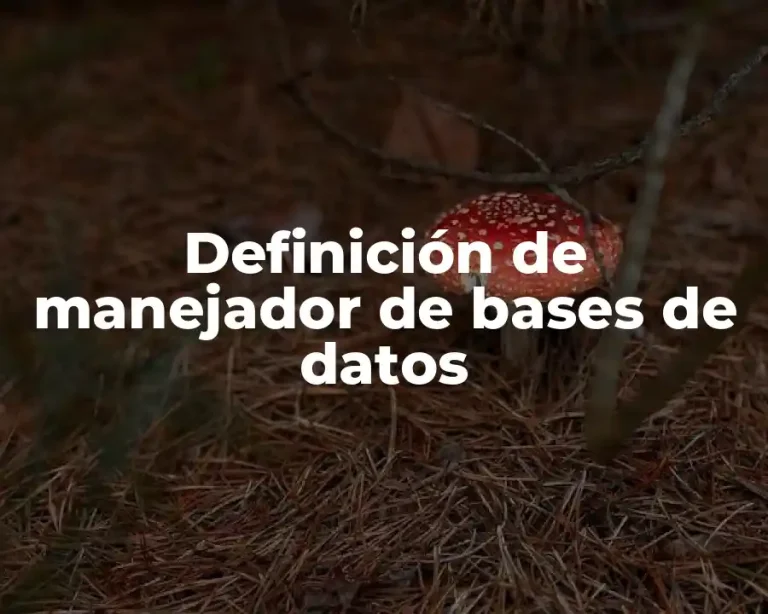 Definición de manejador de bases de datos