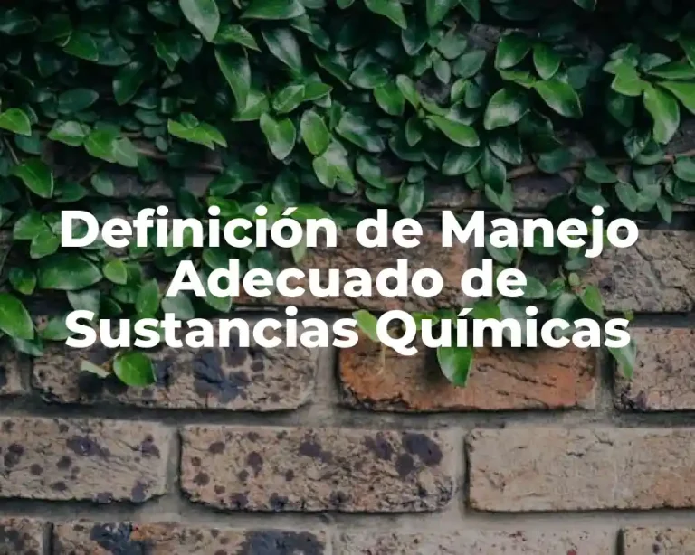 Definición de Manejo Adecuado de Sustancias Químicas