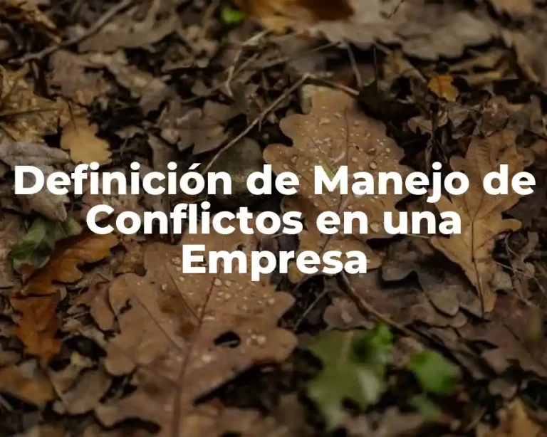 Definición de Manejo de Conflictos en una Empresa