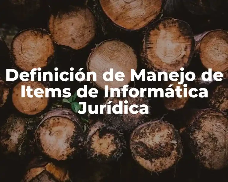 Definición de Manejo de Items de Informática Jurídica