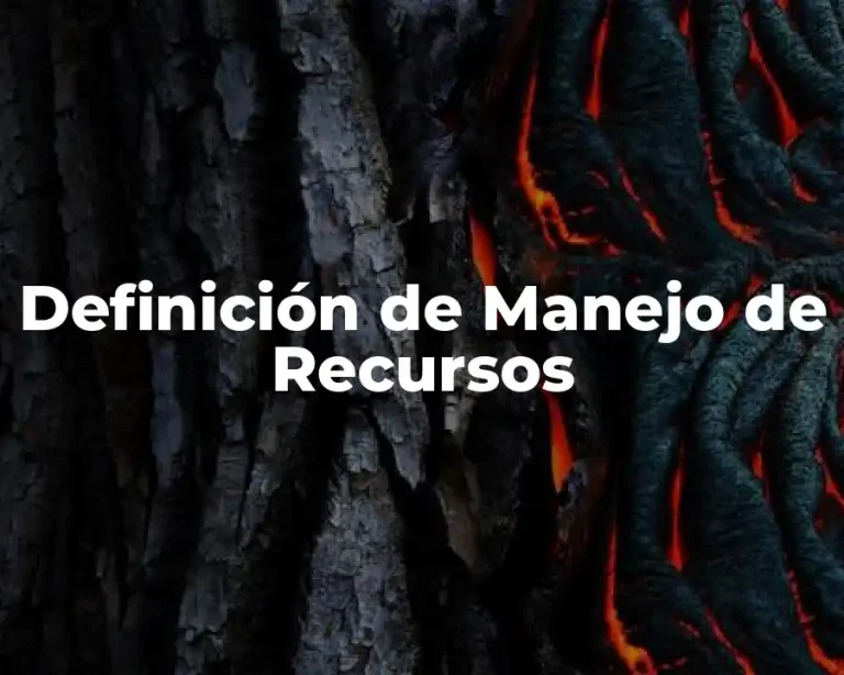 Definición de Manejo de Recursos