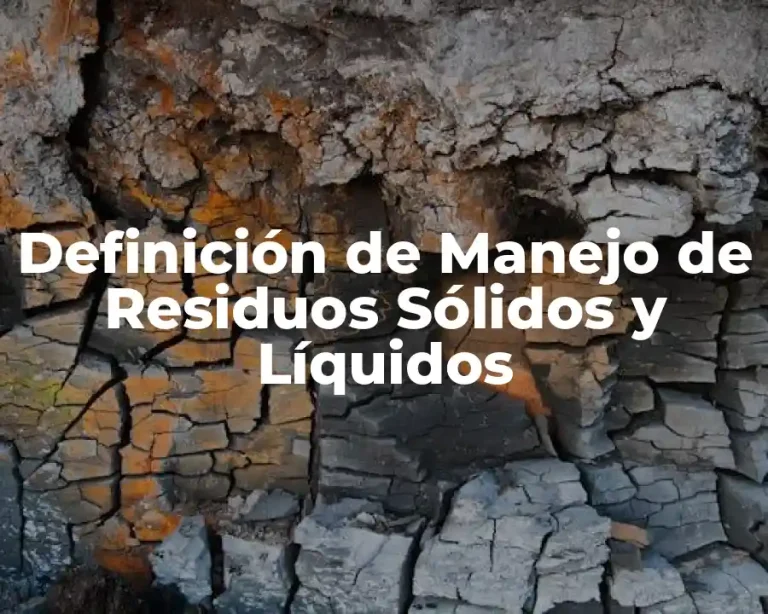 Definición de Manejo de Residuos Sólidos y Líquidos