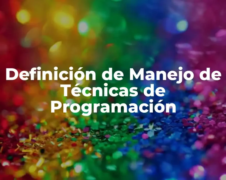 Definición de Manejo de Técnicas de Programación
