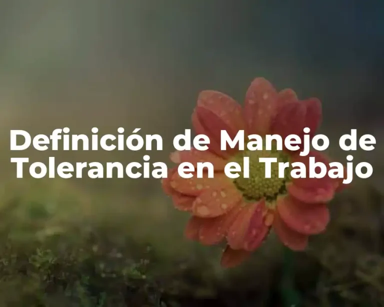 Definición de Manejo de Tolerancia en el Trabajo
