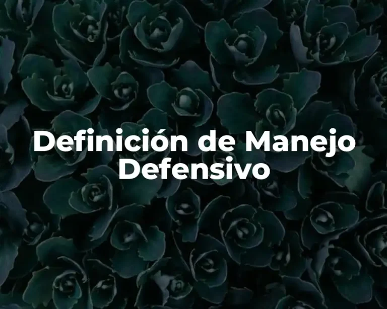 Definición de Manejo Defensivo