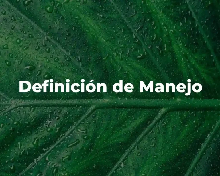 Definición de Manejo