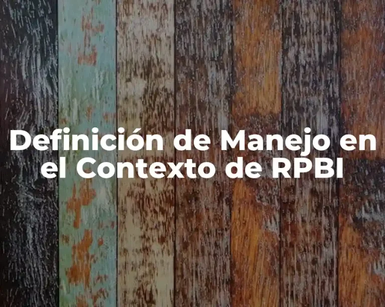 Definición de Manejo en el Contexto de RPBI