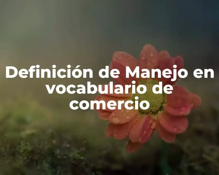 Definición de Manejo en vocabulario de comercio