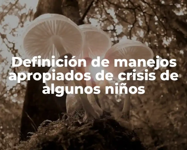 Definición de manejos apropiados de crisis de algunos niños