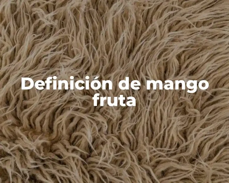 Definición de mango fruta