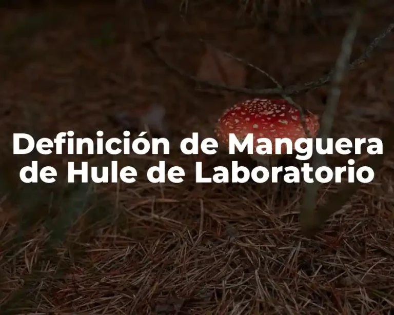 Definición de Manguera de Hule de Laboratorio