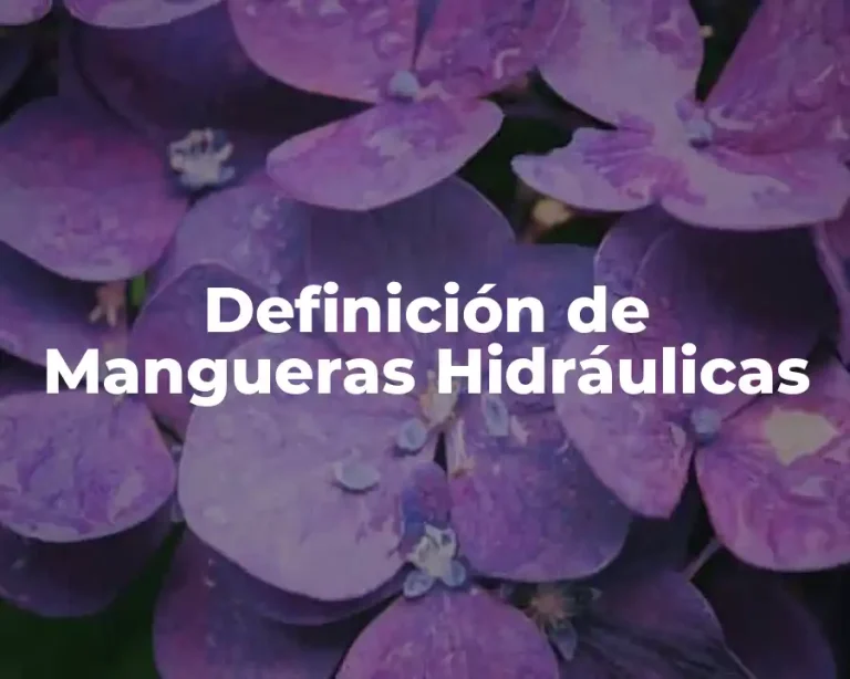 Definición de Mangueras Hidráulicas