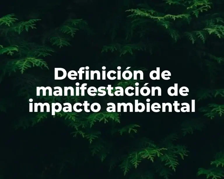 Definición de manifestación de impacto ambiental