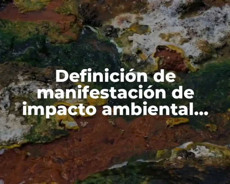 Definición de manifestación de impacto ambiental modalidad regional