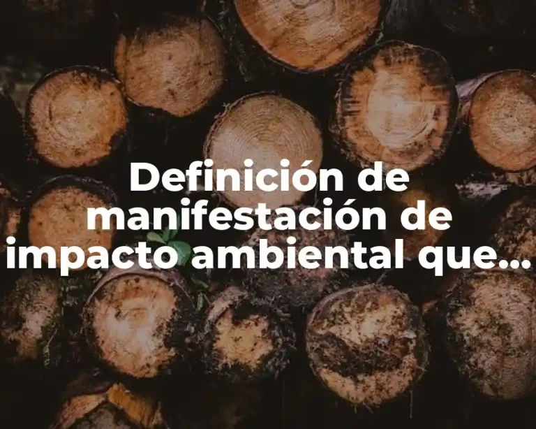 Definición de manifestación de impacto ambiental que sea ambiguo