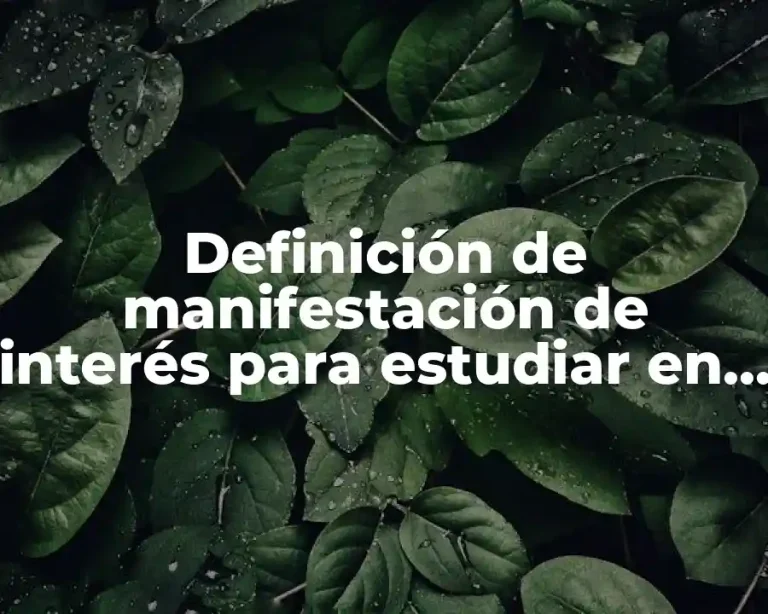 Definición de manifestación de interés para estudiar en una universidad