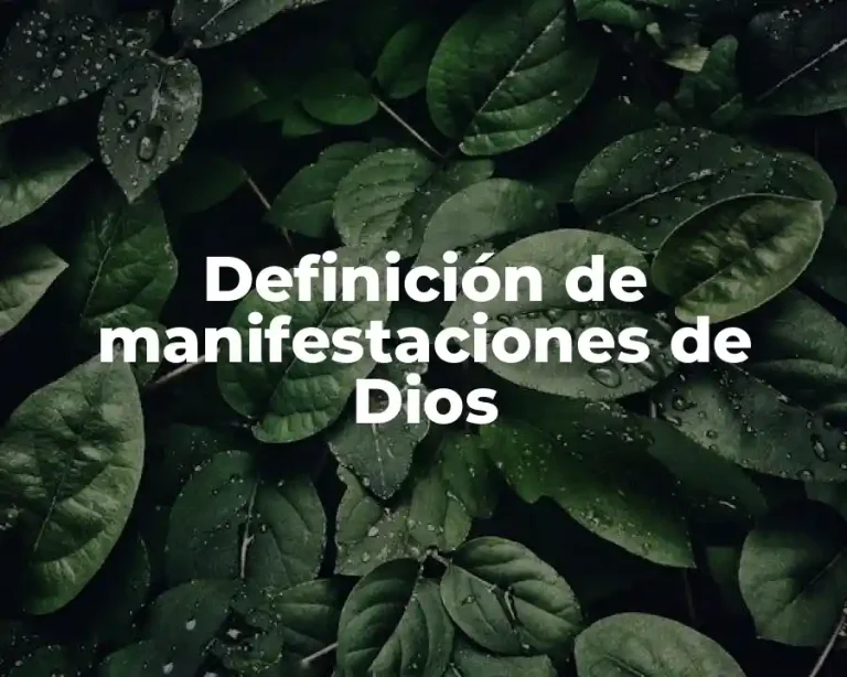Definición de manifestaciones de Dios