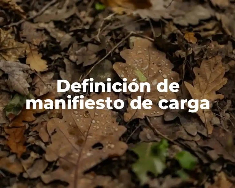 Definición de manifiesto de carga